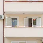 Renovated City Center Apart Roberto